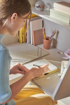 FLEXA Desks|High Bed Desks*Click-on desk