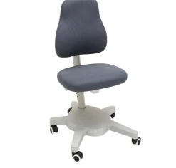 FLEXA Study Chairs*Study Chair