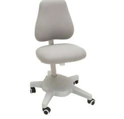 FLEXA Study Chairs*Study Chair