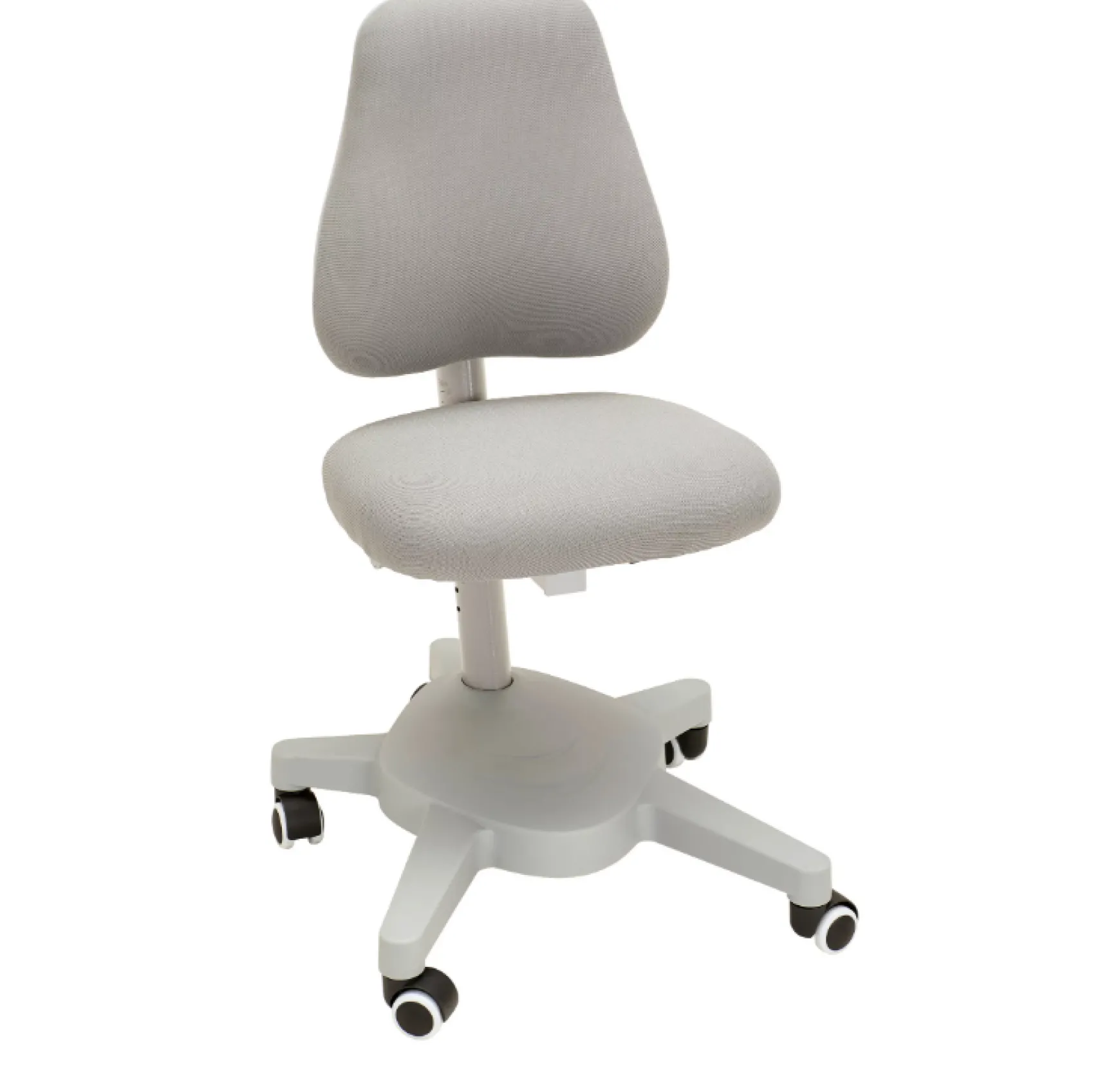 FLEXA Study Chairs*Study Chair