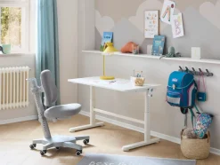 FLEXA Study Chairs*Study Chair