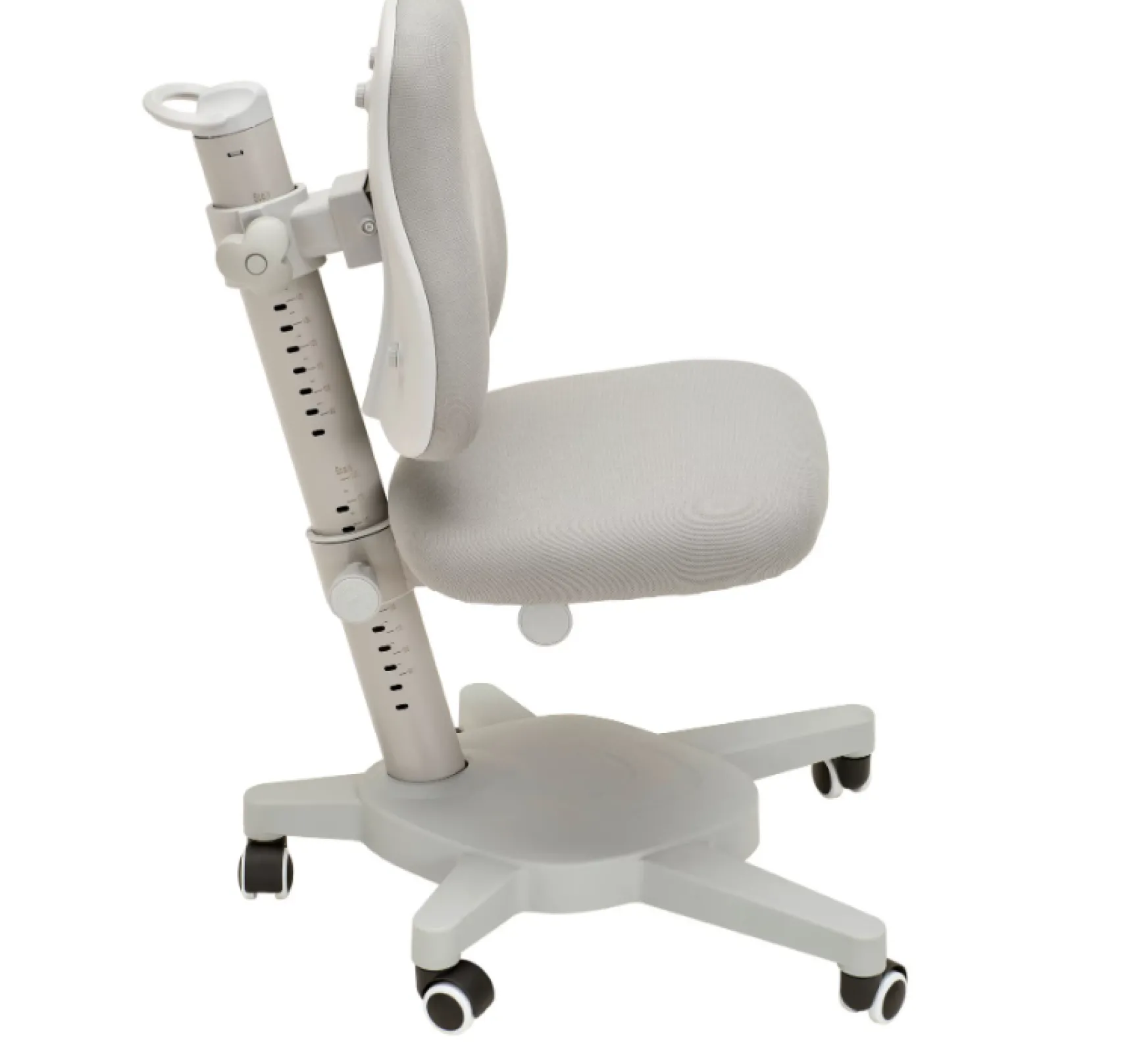 FLEXA Study Chairs*Study Chair