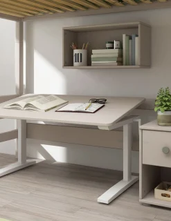 FLEXA Desks*Study desk