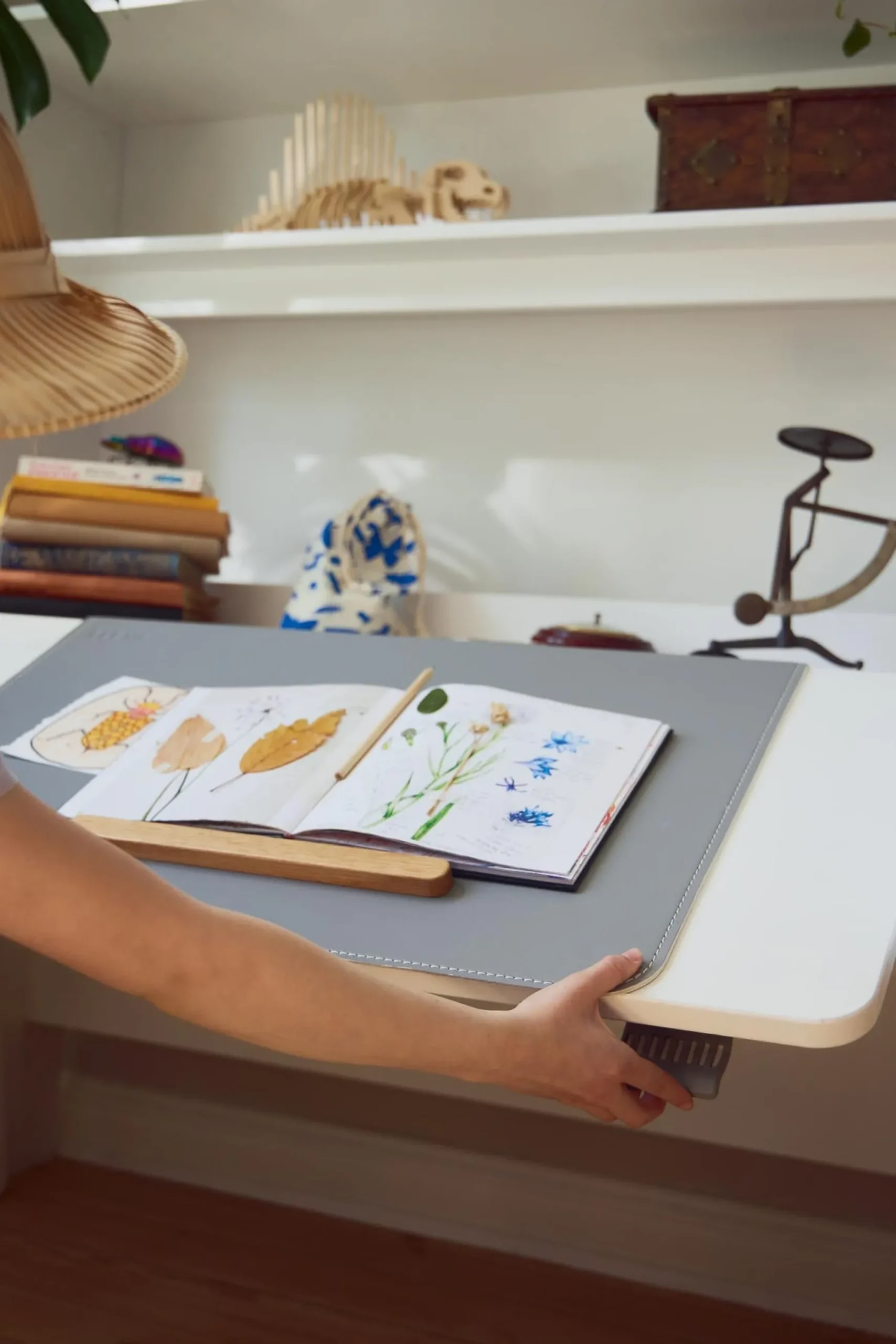 FLEXA Desks*Woody